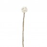 Fleur en laine - Boule - AVEVA