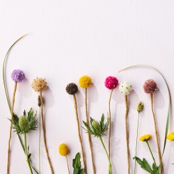 Fleur en laine - Boule - AVEVA