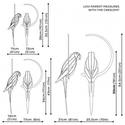 Perroquet 26 cm - Lovi