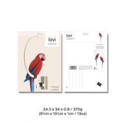 Perroquet 34 cm - Lovi