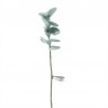 Fleur en laine - Branche Eucalyptus - AVEVA