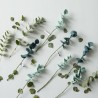 Fleur en laine - Branche Eucalyptus - AVEVA