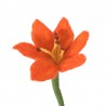 Fleur en laine - Lys - AVEVA